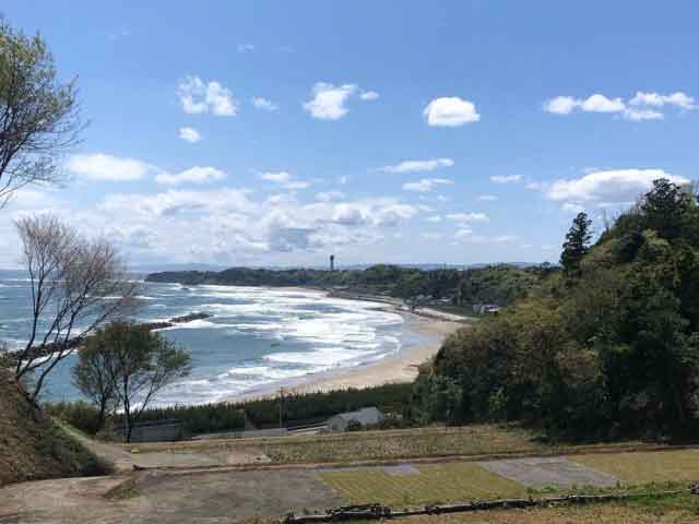 キャンプサイト